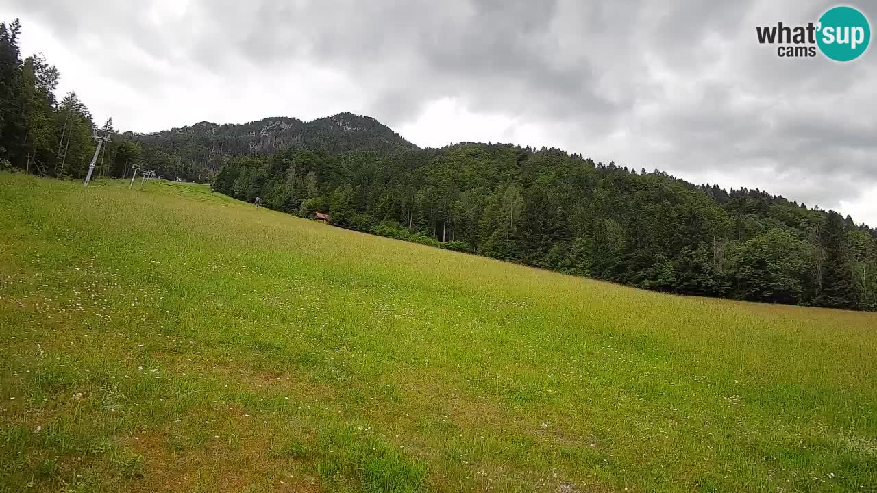 Kranjska Gora SKIJANJE | Brsnina