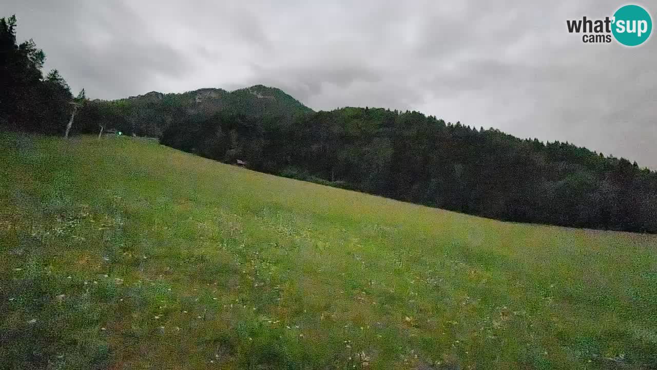 Esquí Kranjska Gora | Brsnina
