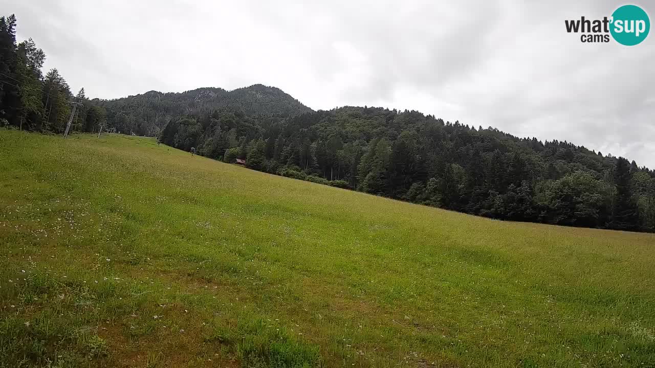 Kranjska Gora Station de ski | Brsnina