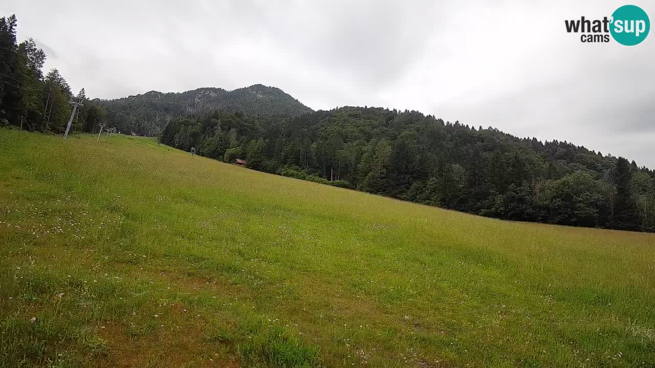 Kranjska Gora SKIJANJE | Brsnina