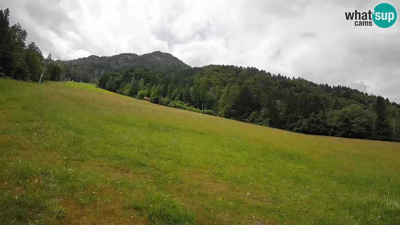 RTC Skigebiet Kranjska Gora | Brsnina