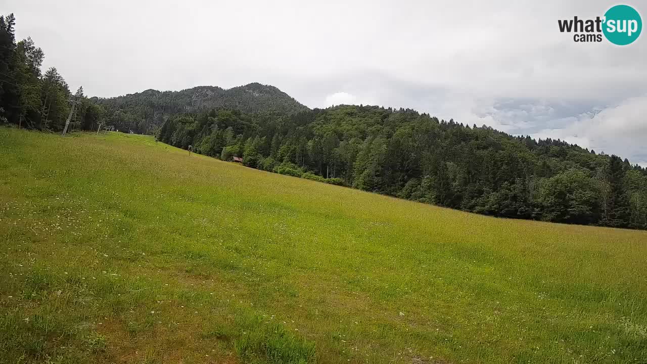 Kranjska Gora Station de ski | Brsnina