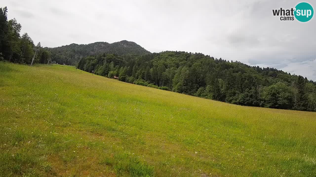 Kranjska Gora Station de ski | Brsnina