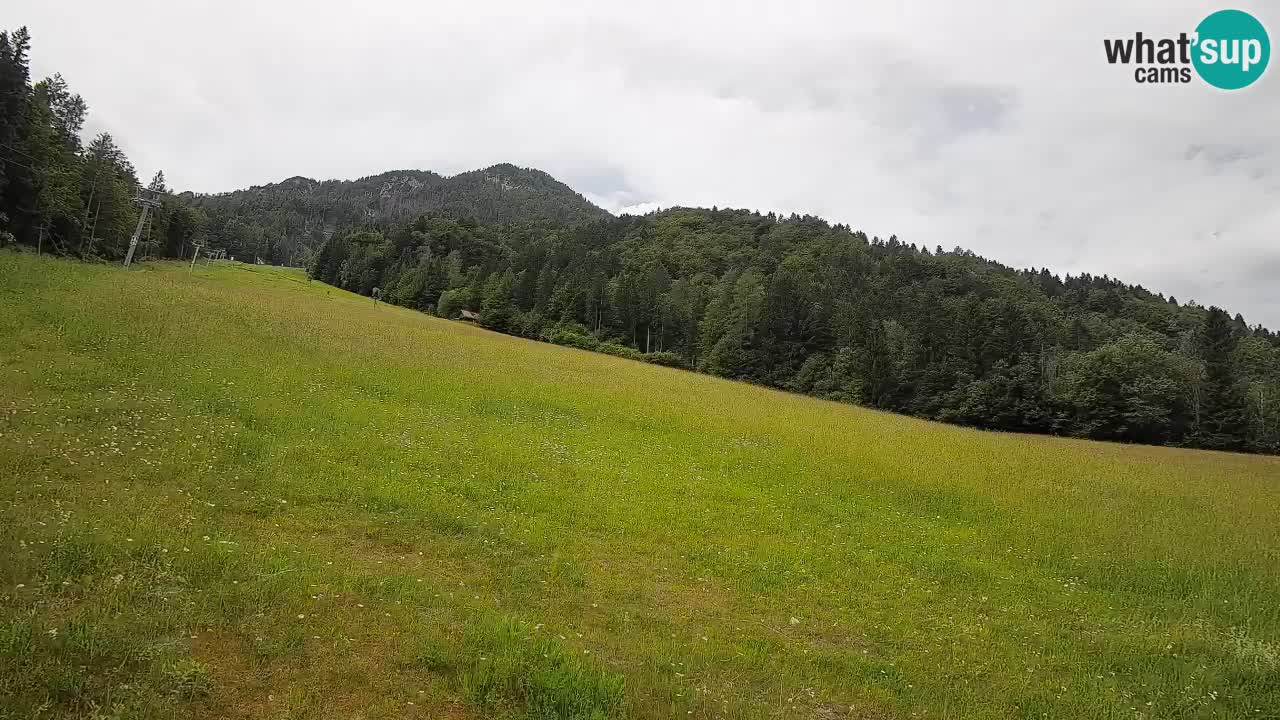 Comprensorio sciistico Kranjska Gora | Brsnina