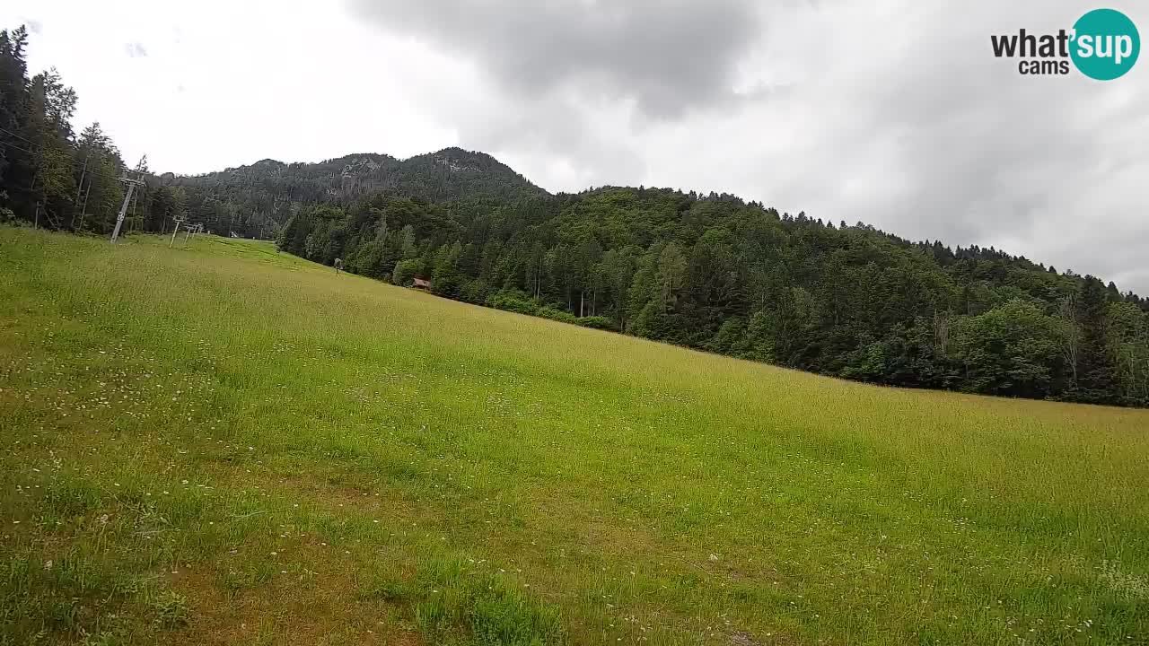 RTC Skigebiet Kranjska Gora | Brsnina