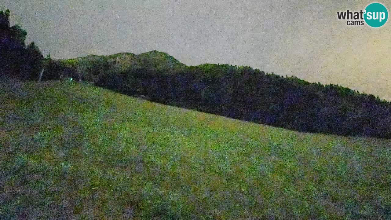 RTC Kranjska Gora | Brsnina