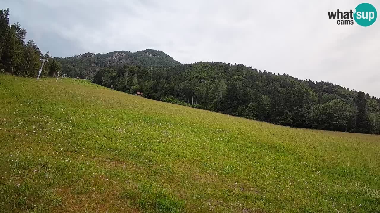 Kranjska Gora Station de ski | Brsnina