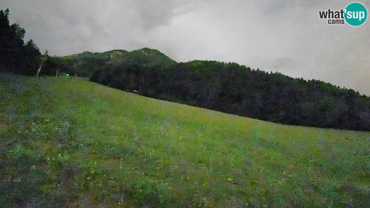 RTC Skigebiet Kranjska Gora | Brsnina