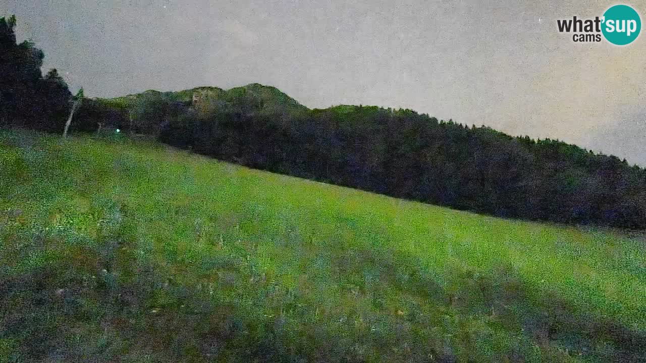 Comprensorio sciistico Kranjska Gora | Brsnina