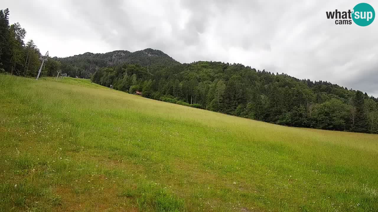 Kranjska Gora Station de ski | Brsnina