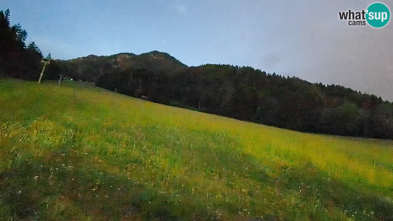 RTC Skigebiet Kranjska Gora | Brsnina