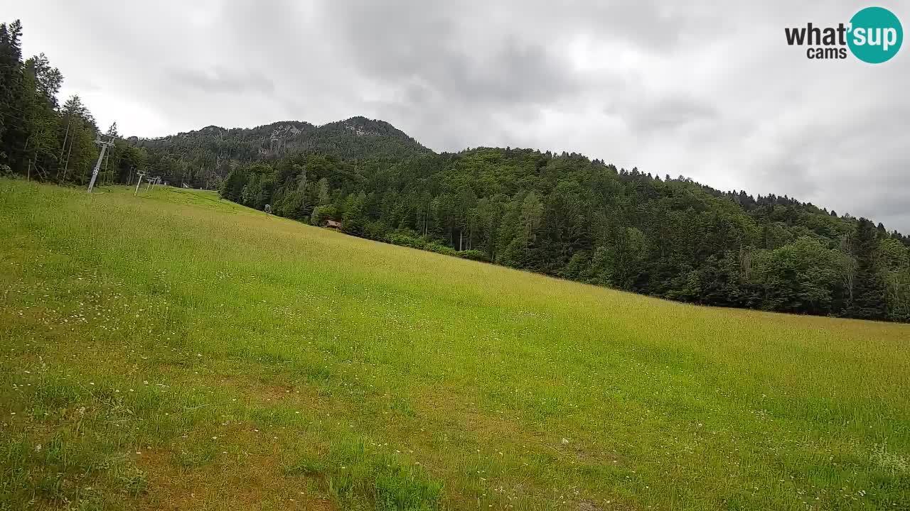 Kranjska Gora SKIJANJE | Brsnina