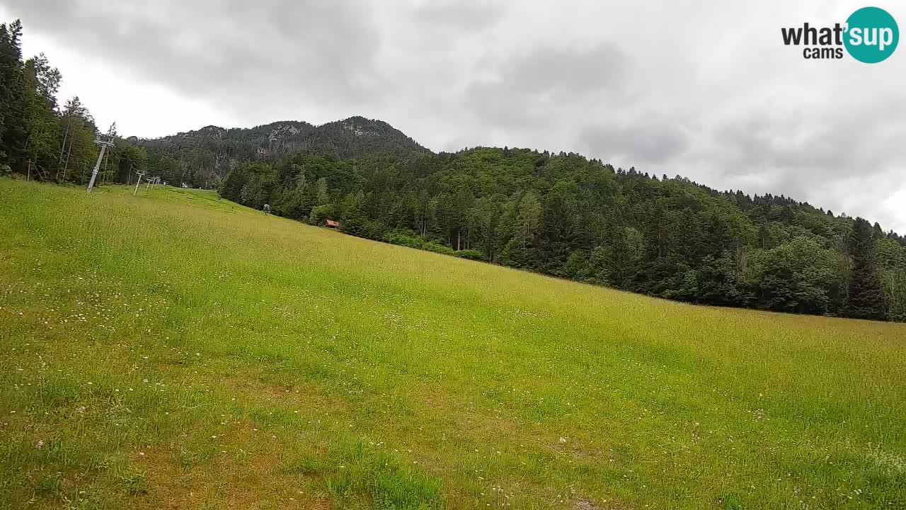 Comprensorio sciistico Kranjska Gora | Brsnina