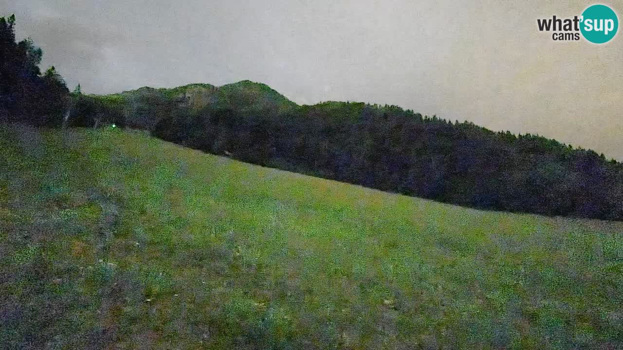 Esquí Kranjska Gora | Brsnina