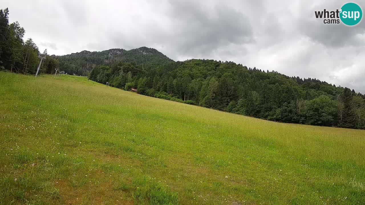 Esquí Kranjska Gora | Brsnina