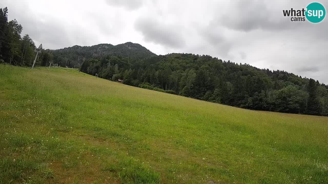 RTC Skigebiet Kranjska Gora | Brsnina