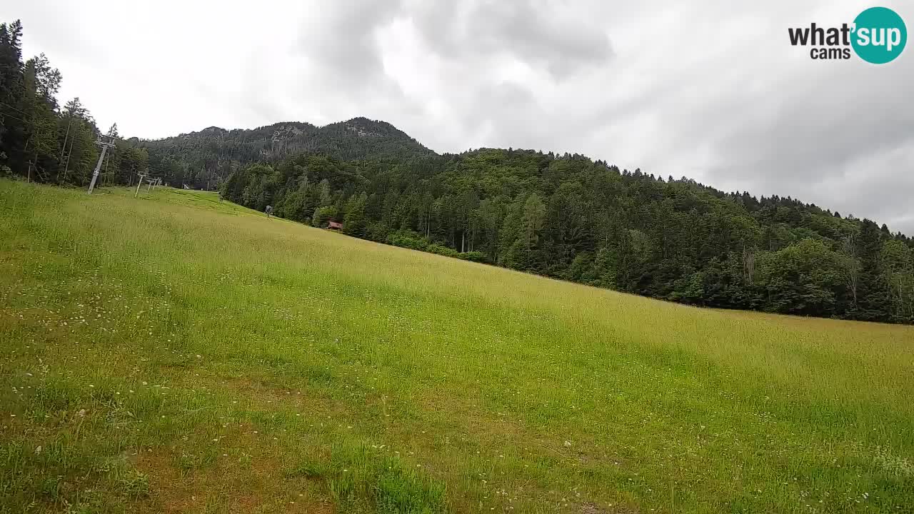 RTC Skigebiet Kranjska Gora | Brsnina