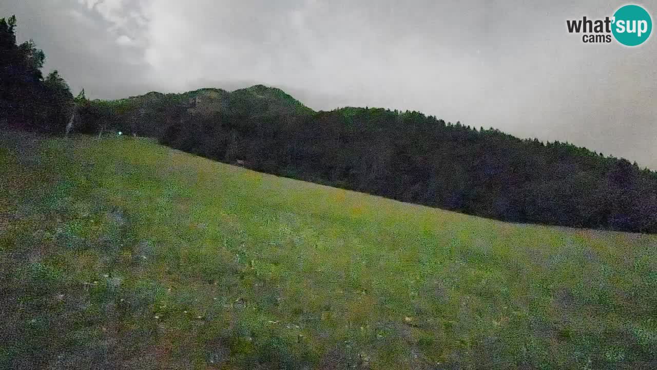 RTC Skigebiet Kranjska Gora | Brsnina