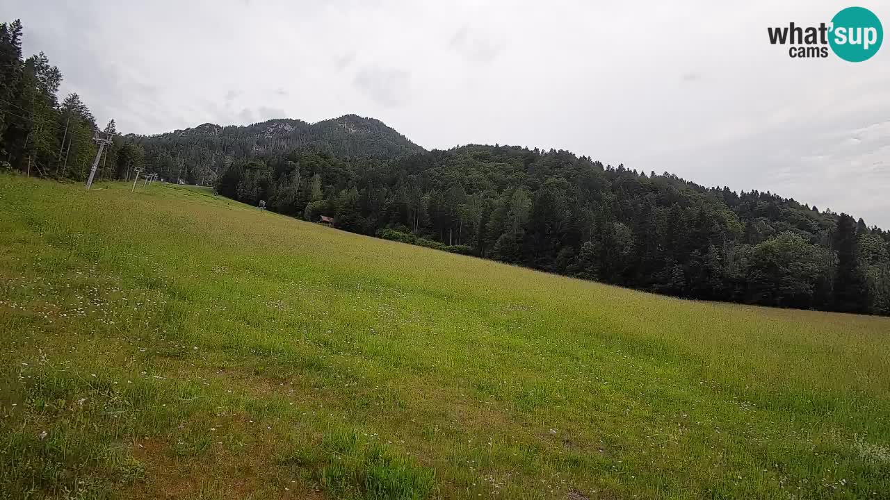 Comprensorio sciistico Kranjska Gora | Brsnina