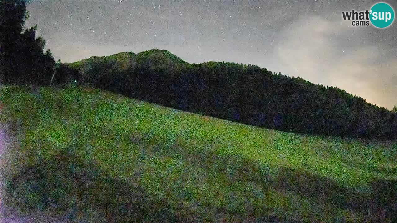 RTC Skigebiet Kranjska Gora | Brsnina