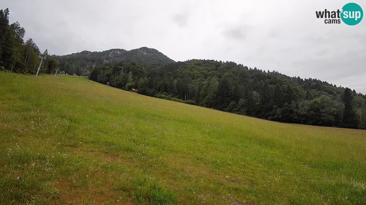Kranjska Gora SKIJANJE | Brsnina