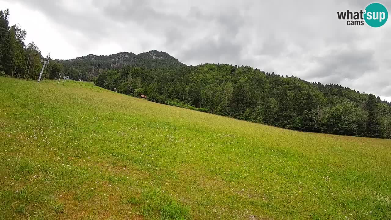 Kranjska Gora SKIJANJE | Brsnina