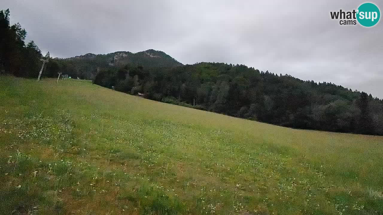 Kranjska Gora SKIJANJE | Brsnina