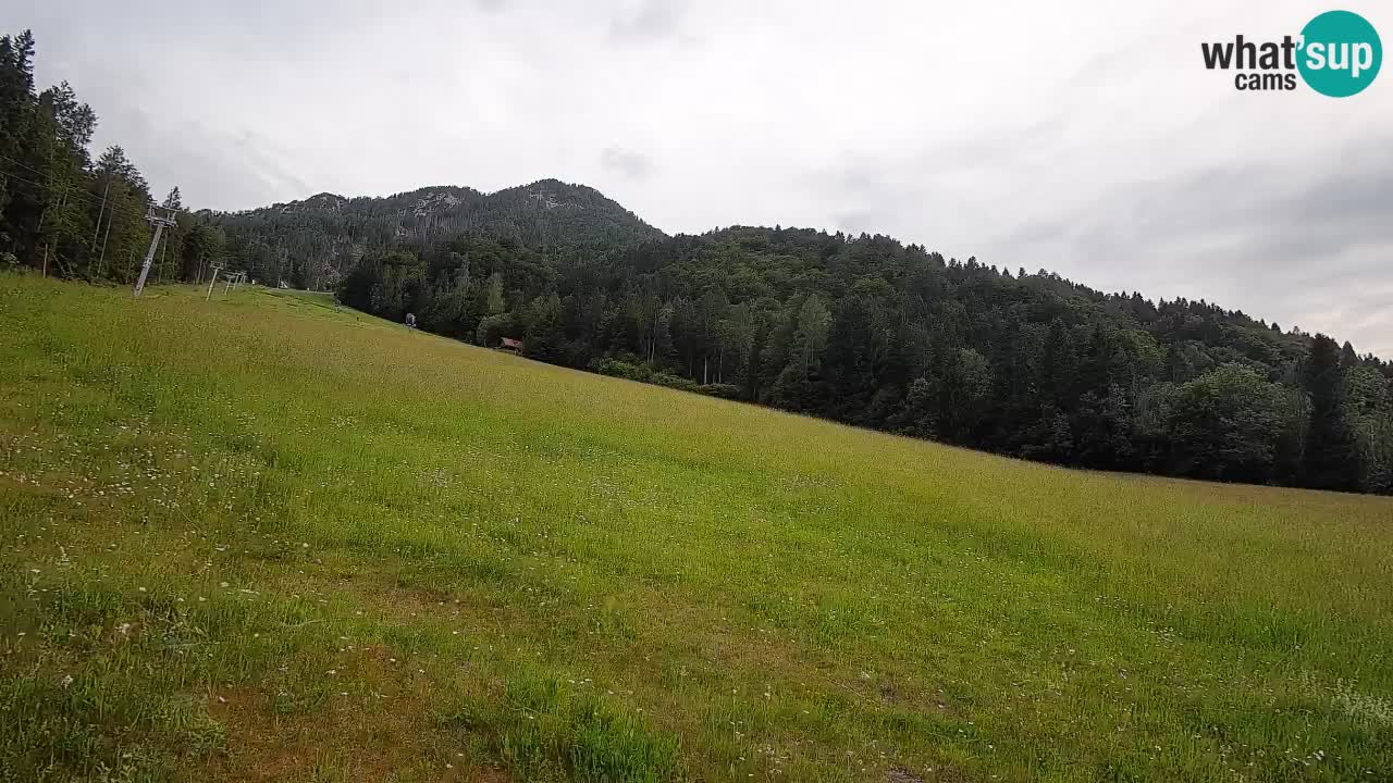 RTC Skigebiet Kranjska Gora | Brsnina