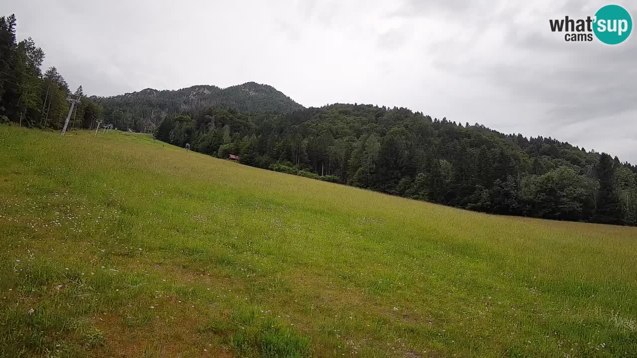 Kranjska Gora SKIJANJE | Brsnina