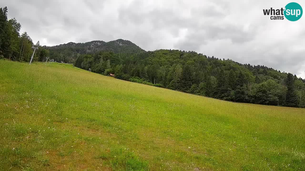 RTC Skigebiet Kranjska Gora | Brsnina