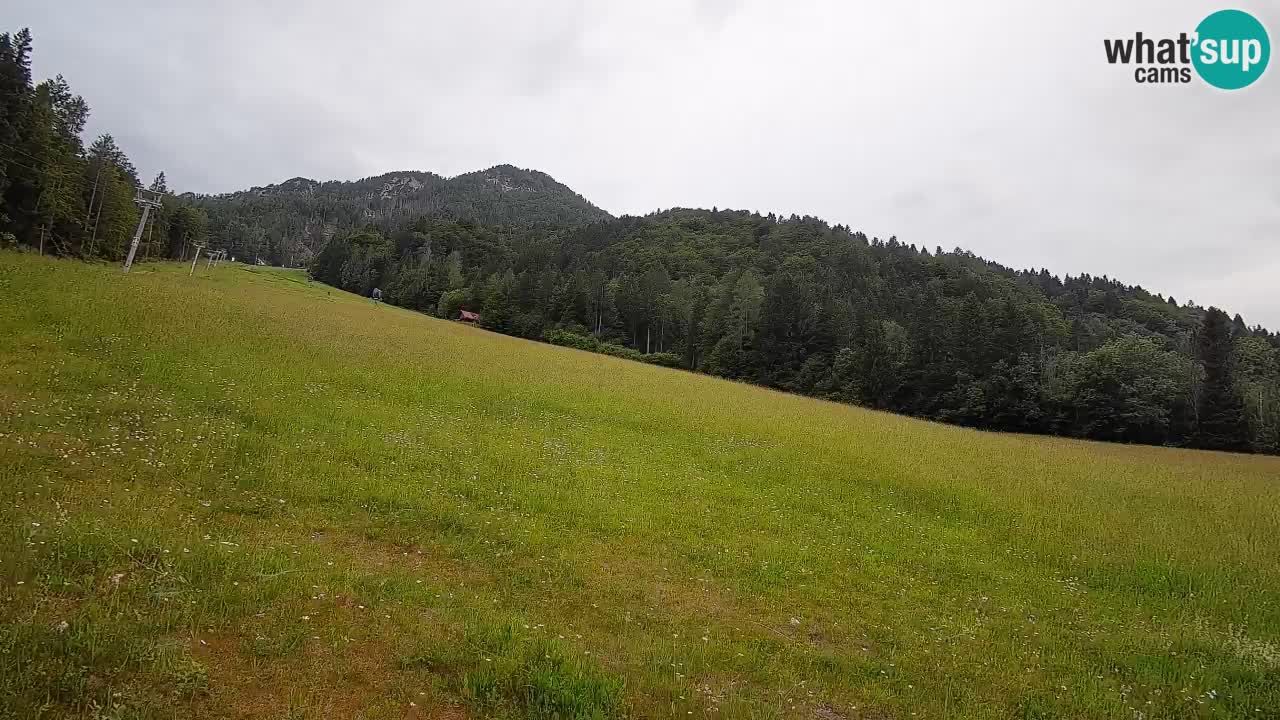Kranjska Gora Station de ski | Brsnina