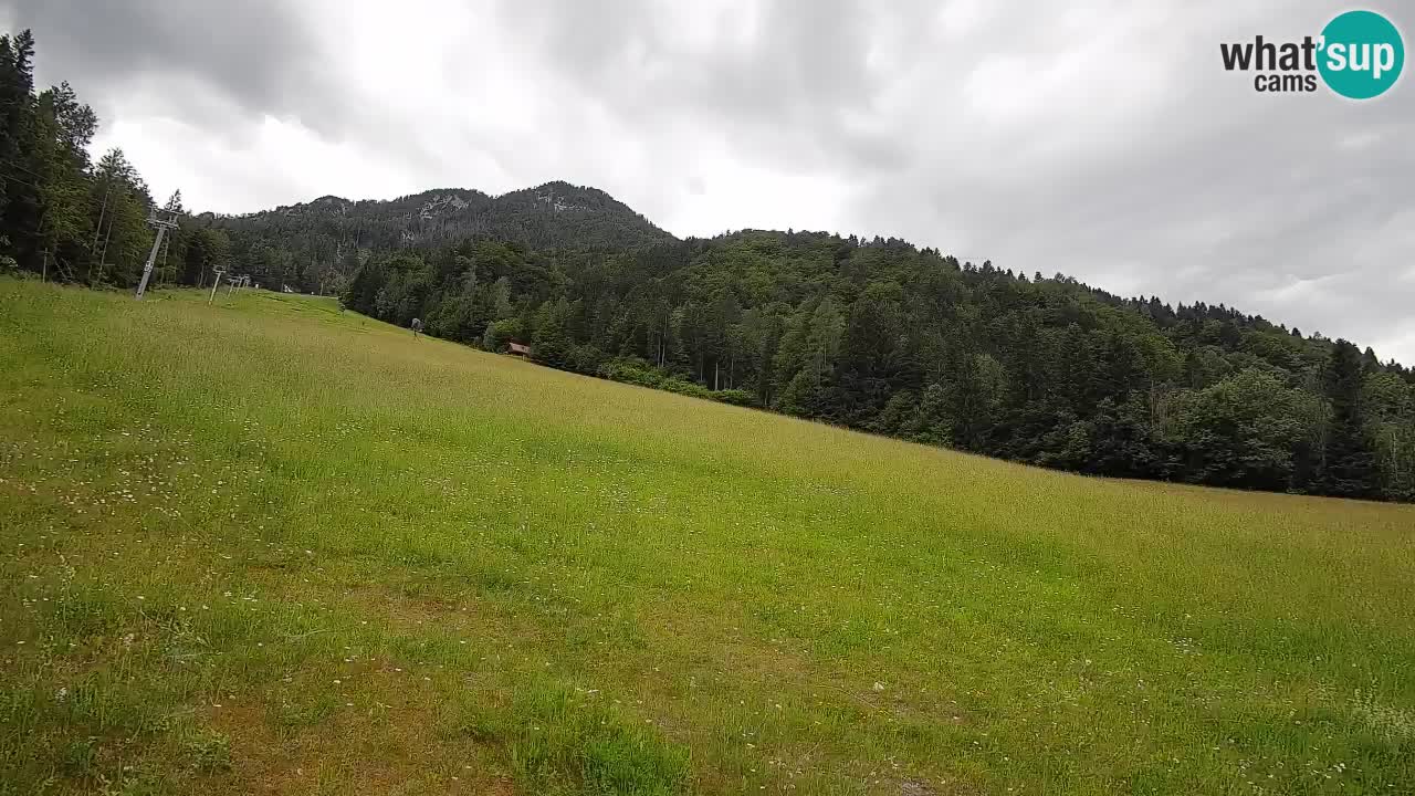 Comprensorio sciistico Kranjska Gora | Brsnina