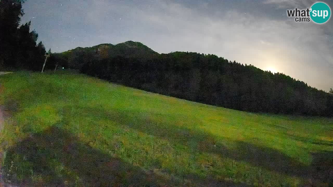 RTC Skigebiet Kranjska Gora | Brsnina