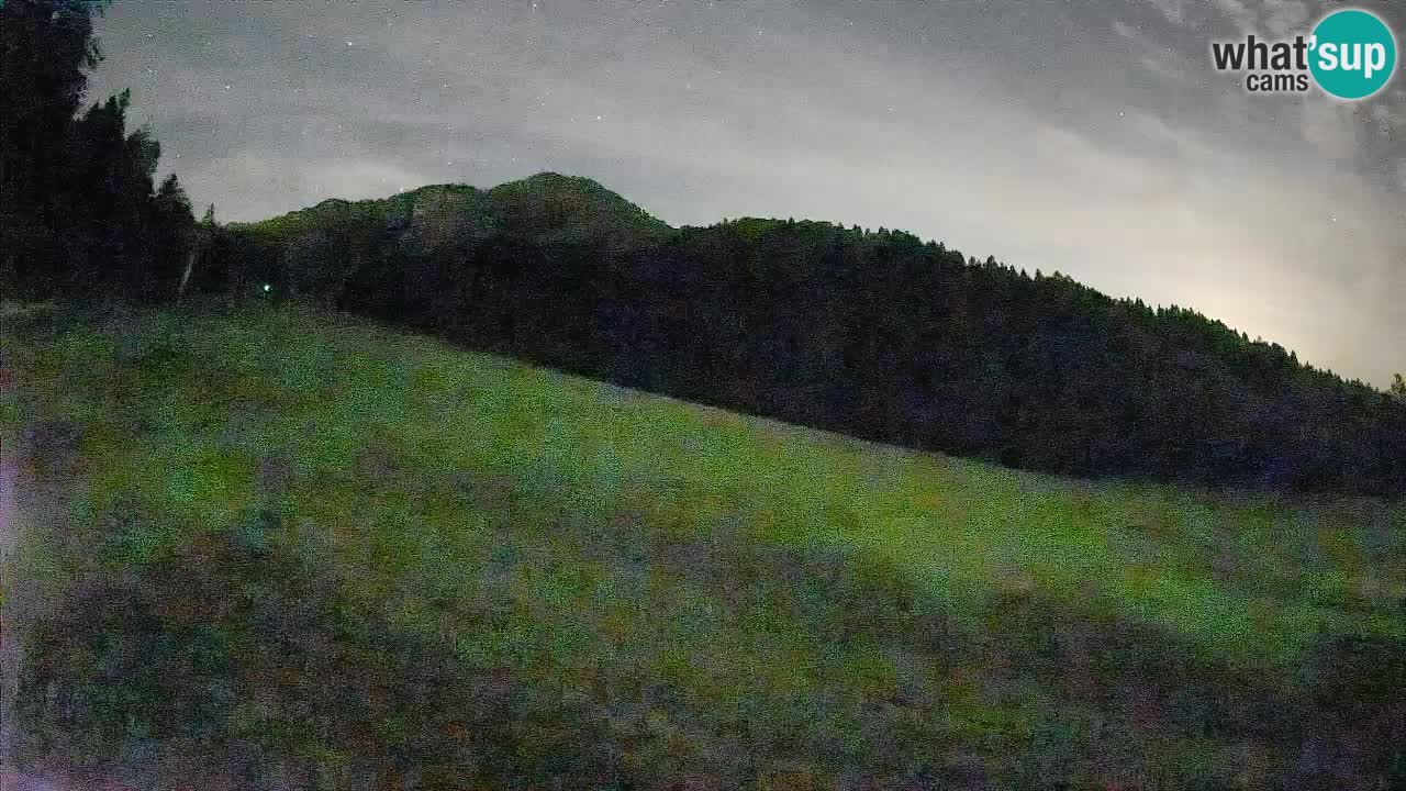 Esquí Kranjska Gora | Brsnina