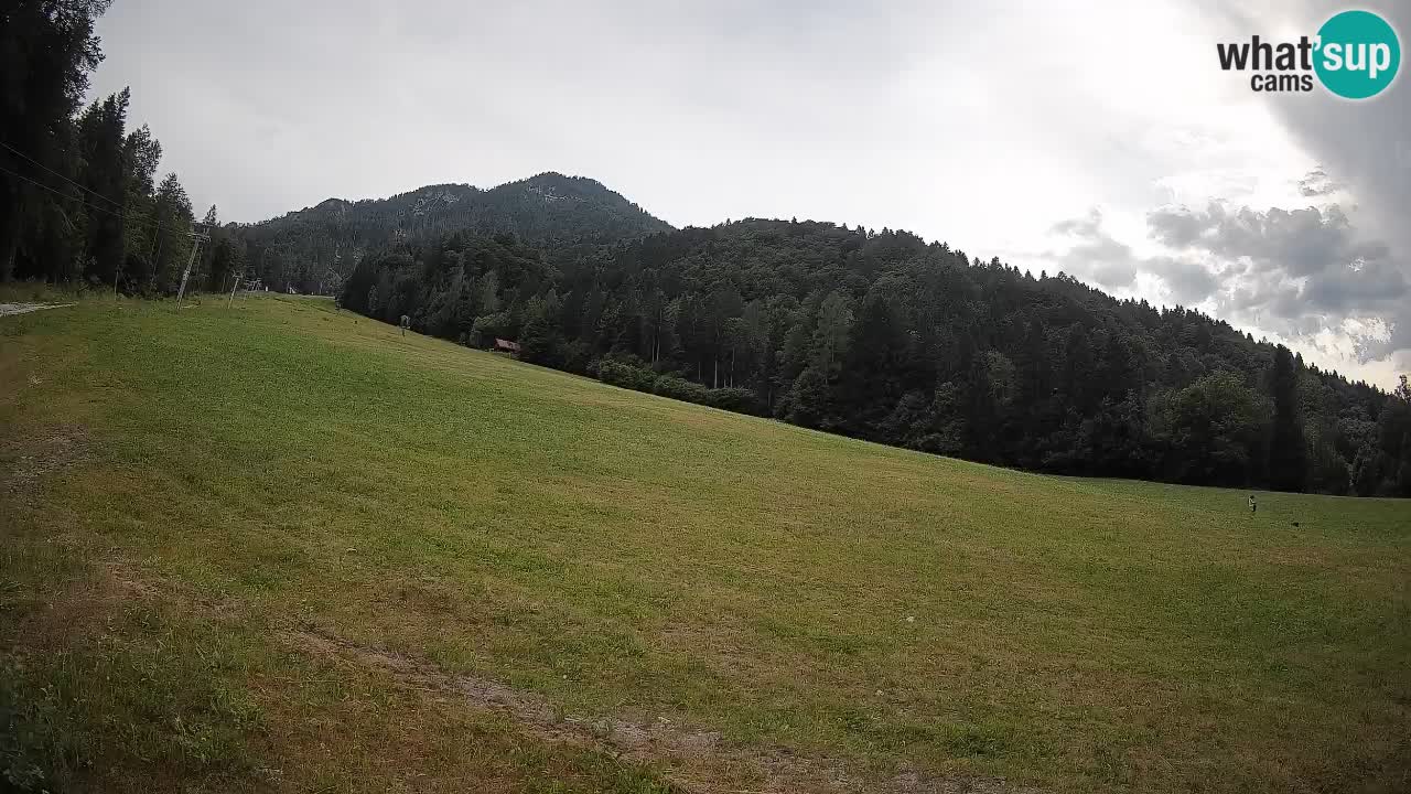 Ski Kranjska Gora | Brsnina