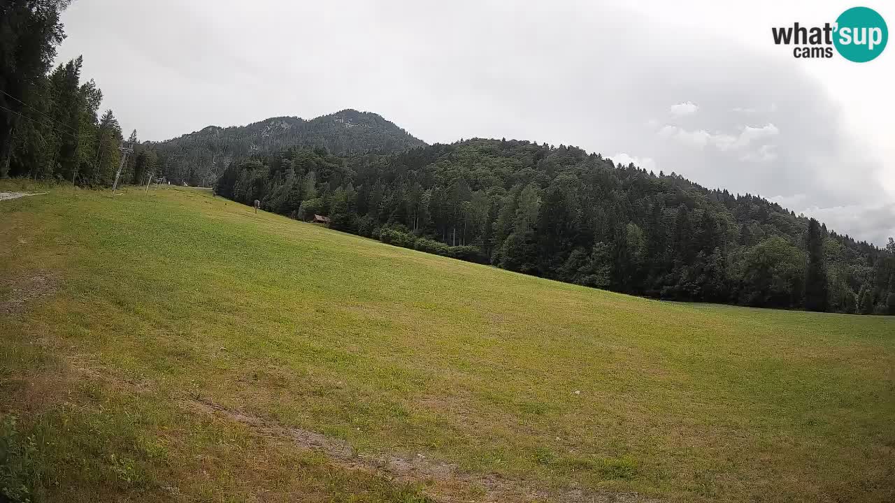 RTC Skigebiet Kranjska Gora | Brsnina