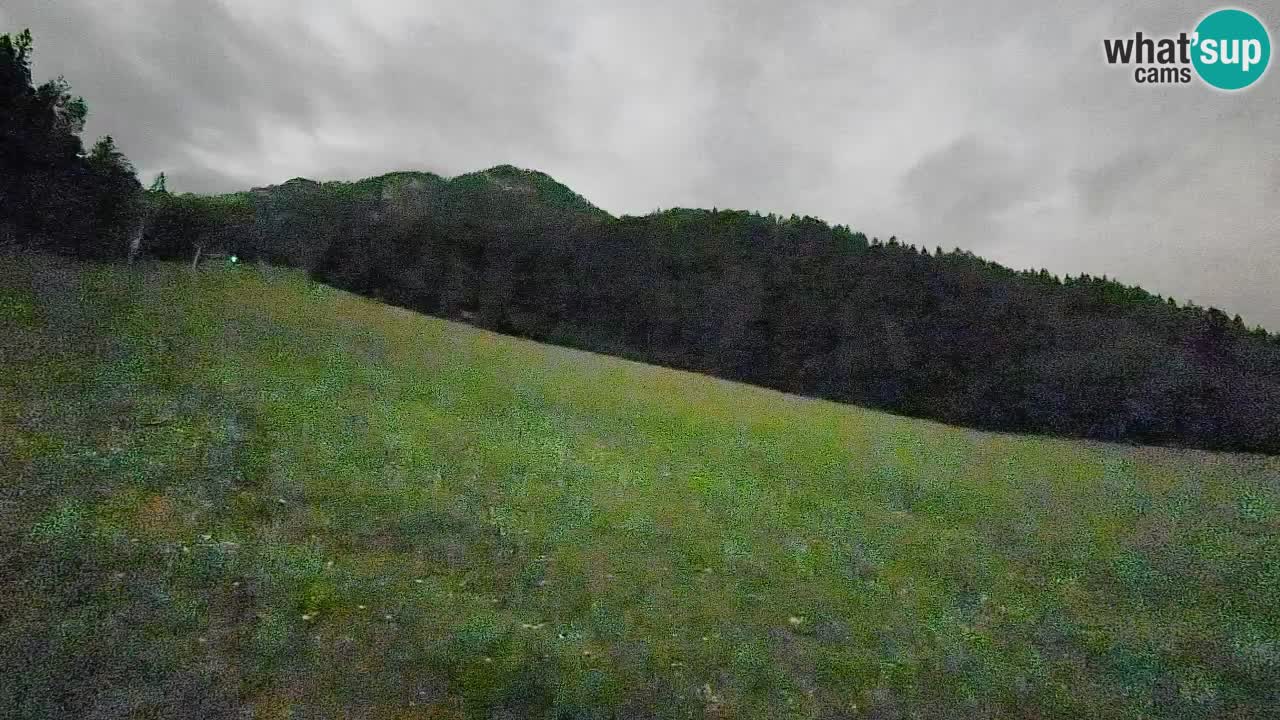 RTC Kranjska Gora | Brsnina