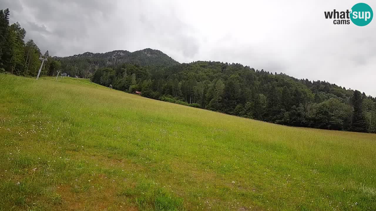 Ski Kranjska Gora | Brsnina