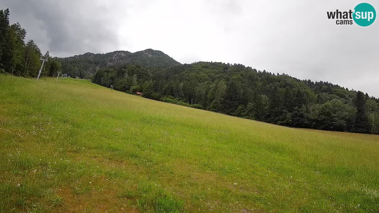 Ski Kranjska Gora | Brsnina
