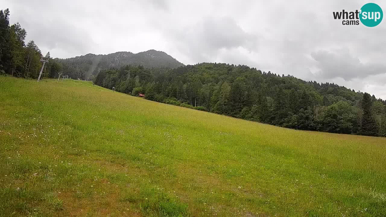 Esquí Kranjska Gora | Brsnina
