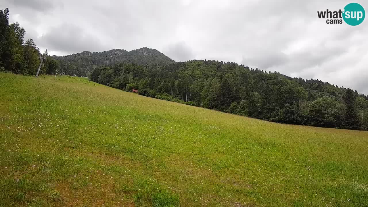 Kranjska Gora Station de ski | Brsnina