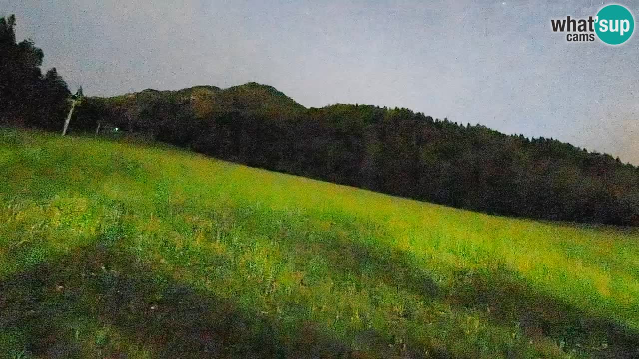 Esquí Kranjska Gora | Brsnina