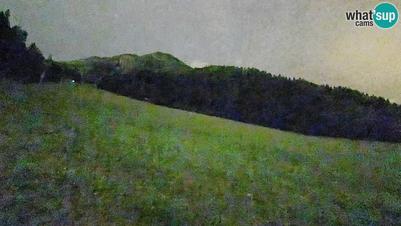 Kranjska Gora SKIJANJE | Brsnina