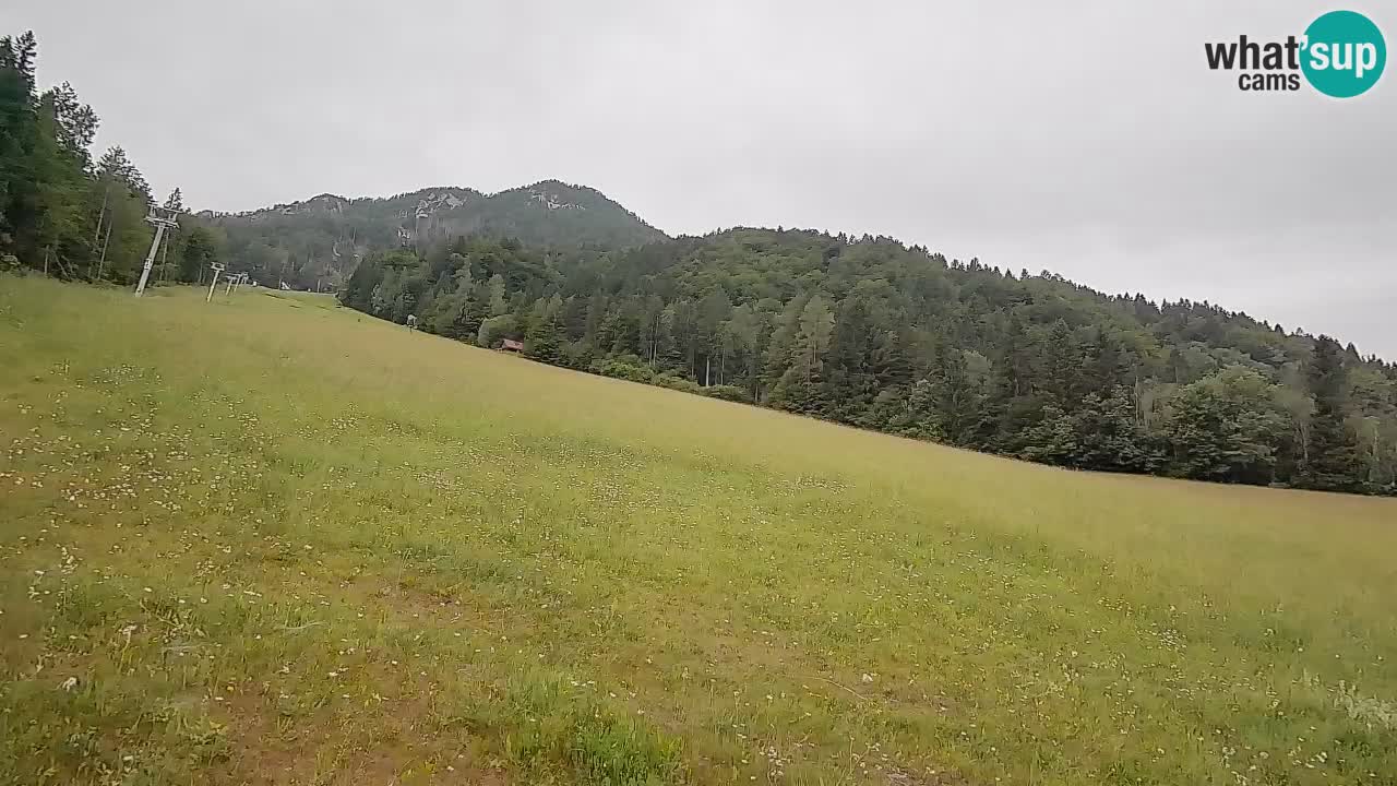 RTC Skigebiet Kranjska Gora | Brsnina