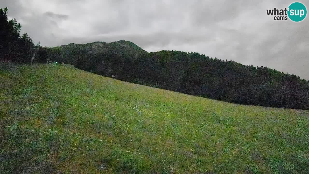 RTC Skigebiet Kranjska Gora | Brsnina
