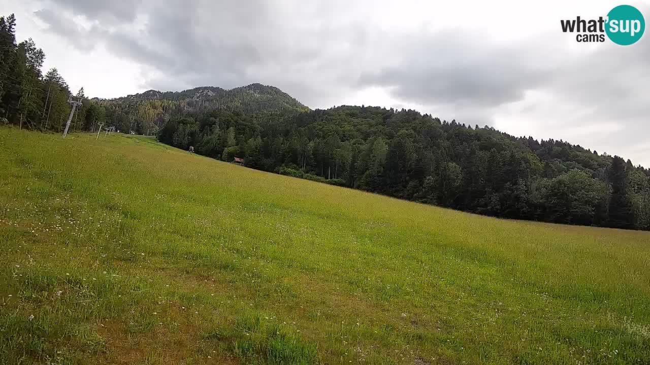 Comprensorio sciistico Kranjska Gora | Brsnina