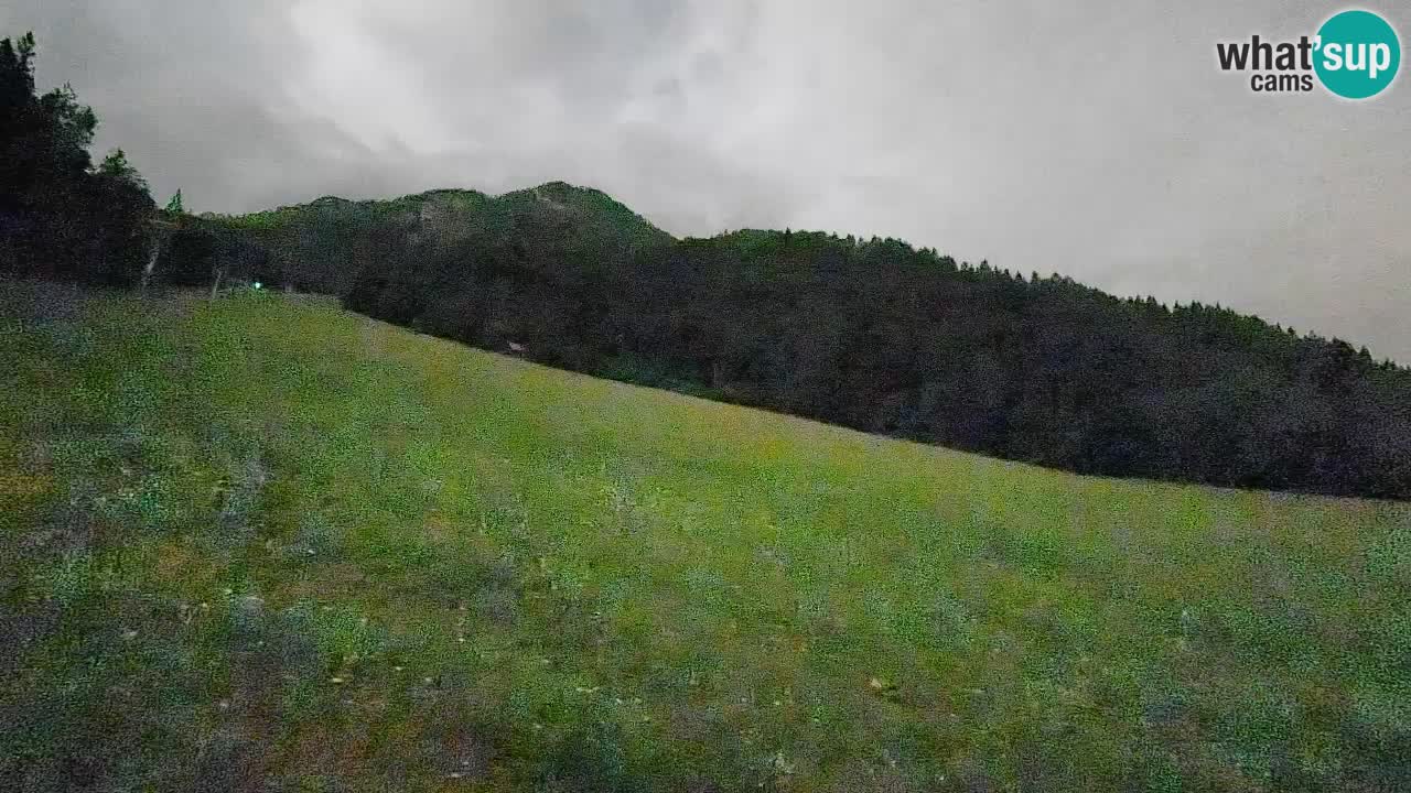 Ski Kranjska Gora | Brsnina