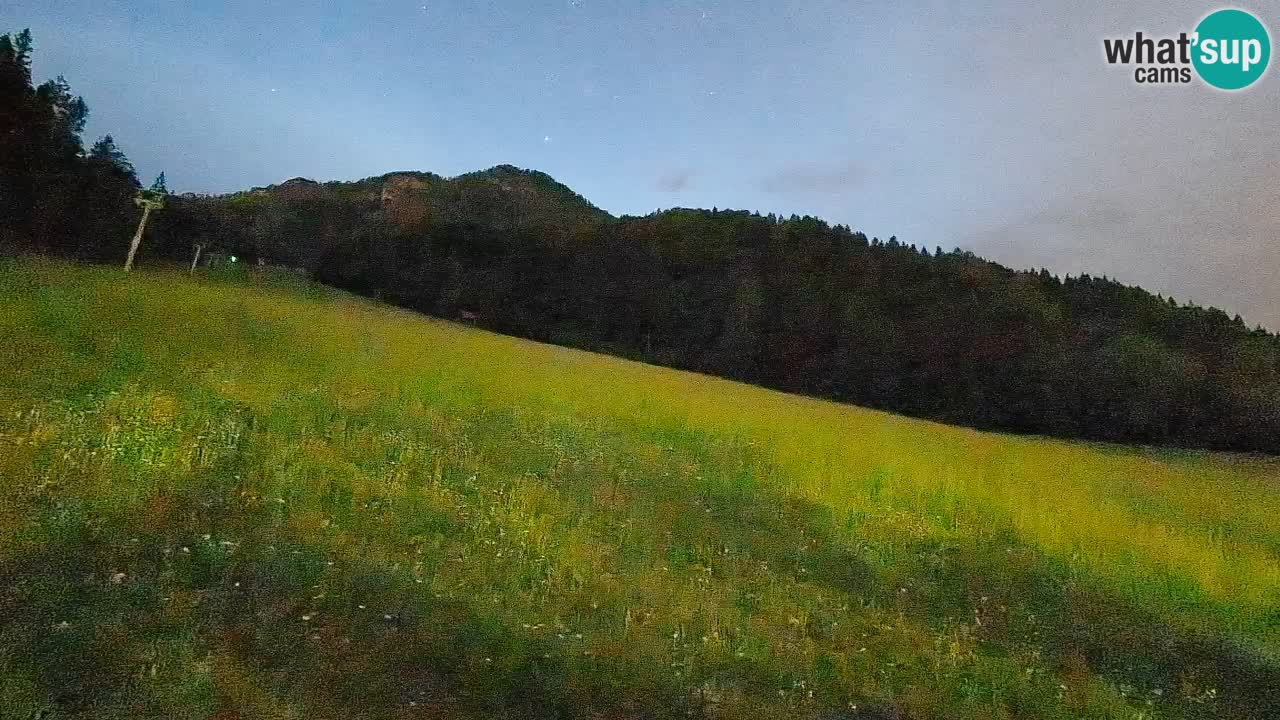 Kranjska Gora Station de ski | Brsnina