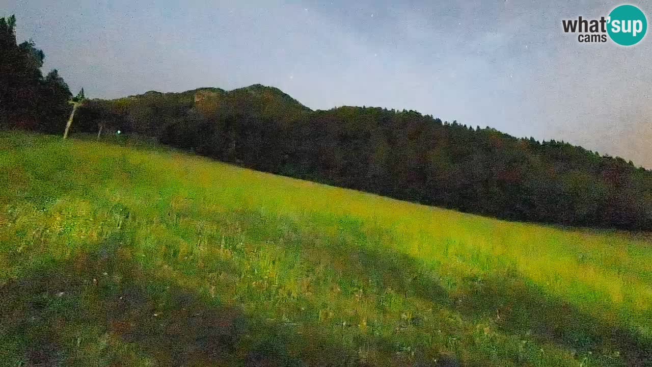 Esquí Kranjska Gora | Brsnina