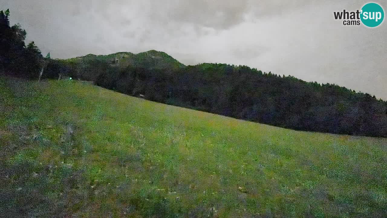 Kranjska Gora SKIJANJE | Brsnina